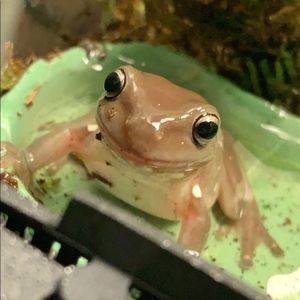 Meet your Posher, Maria